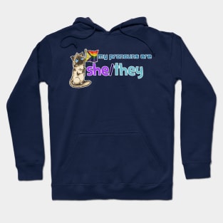 My Pronouns with Chocolate (She/They) Hoodie